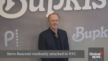 Steve Buscemi punched in face in random New York City attack